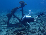 guam608scotia4