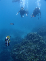 guam516intro7