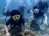 guam519intro3
