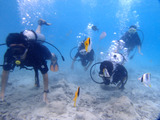 guam830hahadiver3