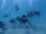 guam519intro2