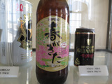guam416sakura17