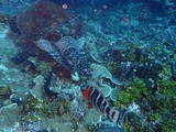 P1090081
