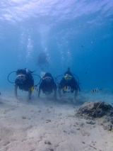 guam818intro3