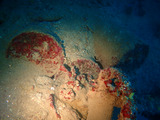 guam327bakurai4
