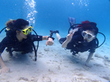 guam329intro6