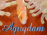 Aquadam