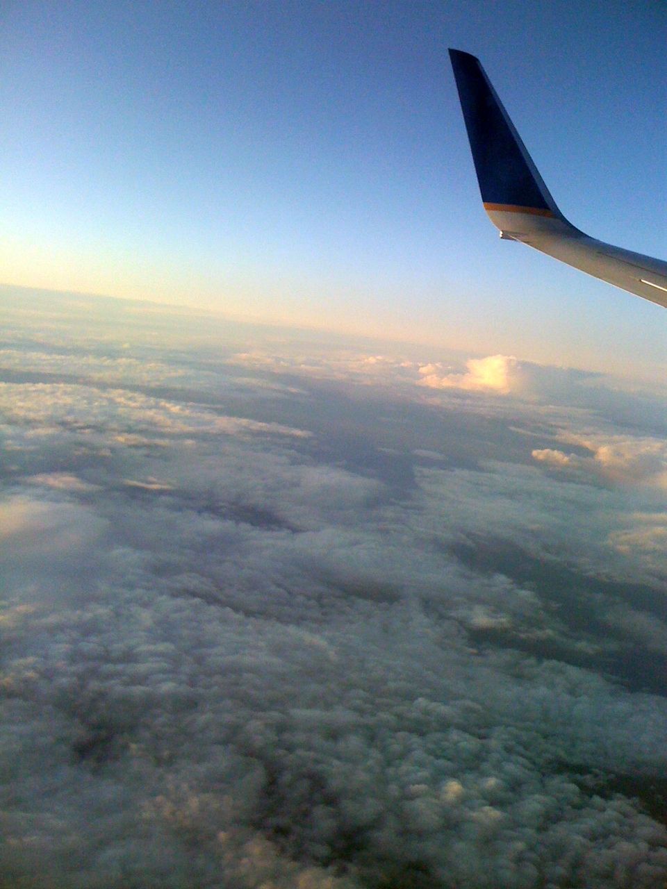 iphone 1183_2
