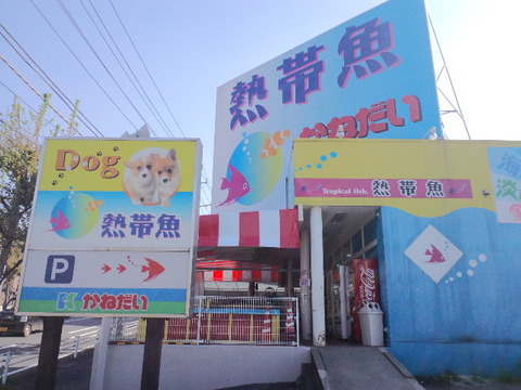 かねだい東戸塚