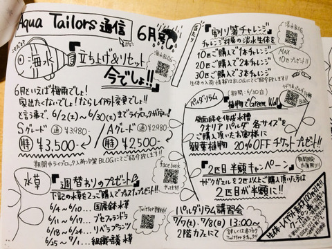 o1080081014202857536