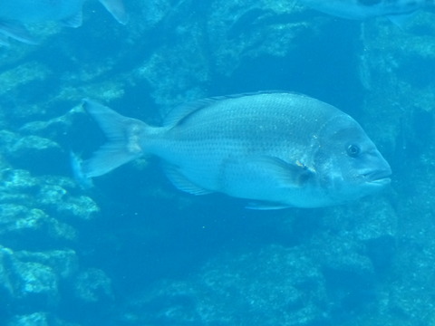 P1240804