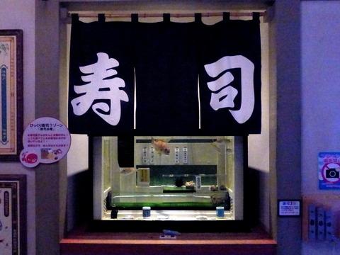 546d01b5.jpg