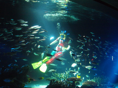 a2668b00.jpg