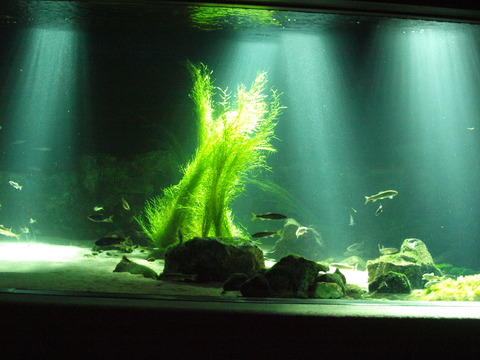 a305385b.jpg