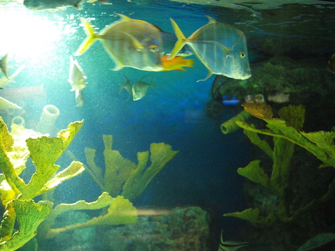 b3bdf87d.jpg
