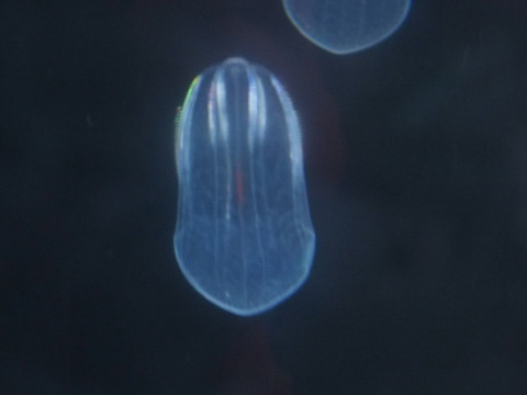 P5310314