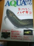 アクアライフ 2004年4月号