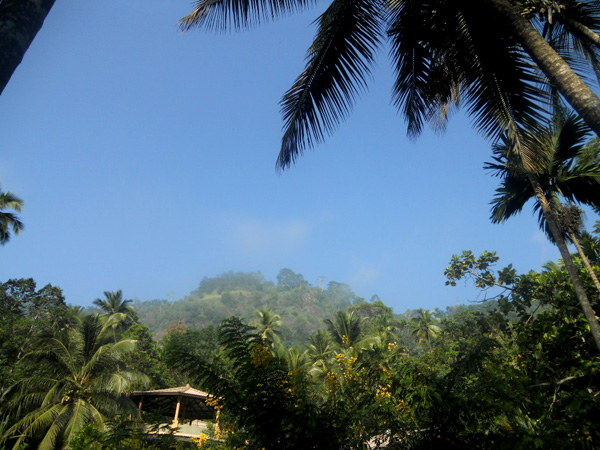 Sri Lanka AYURVEDA Trip�������󥫡�AYU PIYASA(����ԥ���)����������������