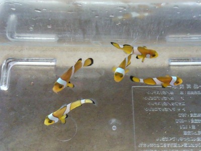 DCIM0749