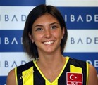widec[1]