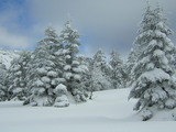 a6277d67.jpg