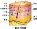 b4a1358c.jpg