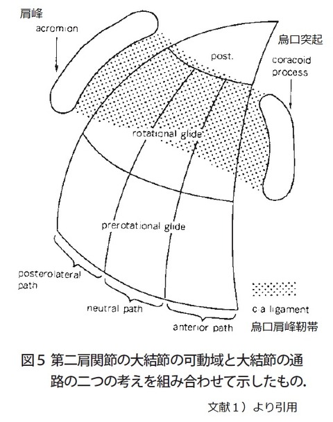 大結節の通り道