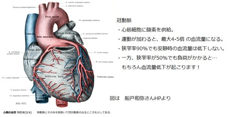 心臓