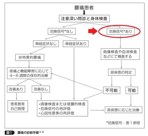 腰痛診断