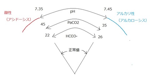 血液ガスの見方