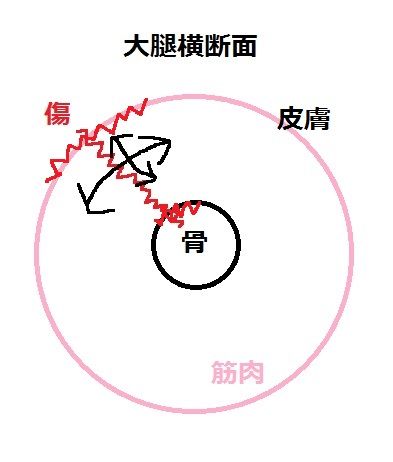 横断面の滑走