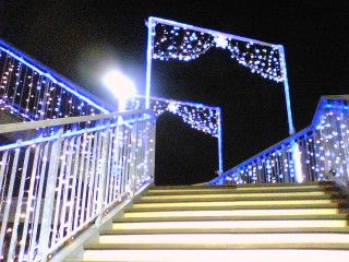 2010_1106_025.jpg