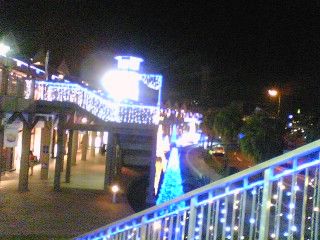 2010_1112_035.jpg