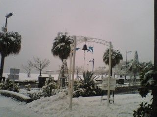 2010_1231_047.jpg