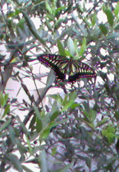 201007111841002.jpg