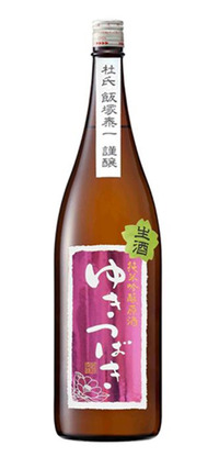 yukitsubaki-haru
