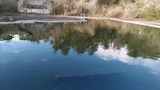 20170308nisinihon-09