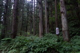 20170924gunma-06