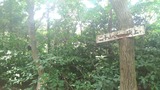 20180722-02
