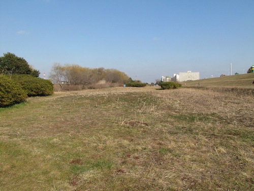河川敷