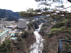 楯岩展望台から大吊橋を見下ろす