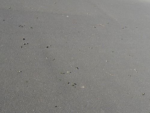 河川敷道路の落し物