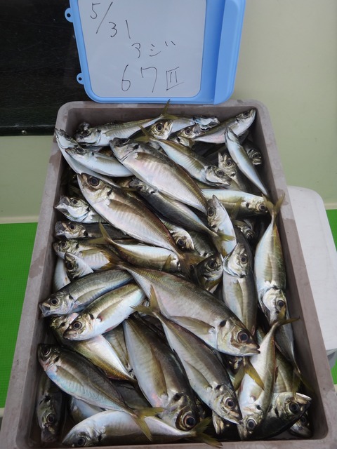 DSC01706