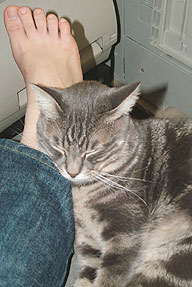 9f06cb4a.jpg