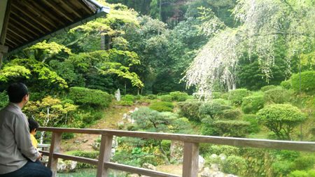 sesyu
