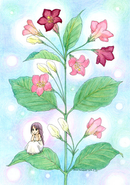 tuyama