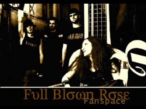 Full Blown Rose