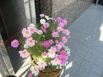0591d99b.gif
