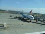 1533cf07.gif