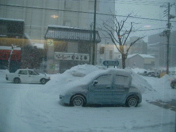 805cf9e4.gif